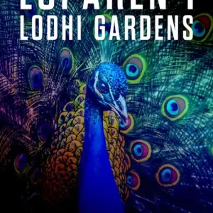 Löparen i Lodhi Gardens