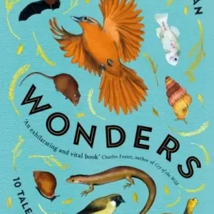 Lost Wonders