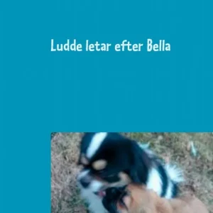 Ludde letar efter Bella