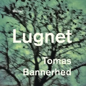 Lugnet