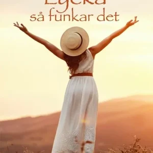 Lycka - så funkar det