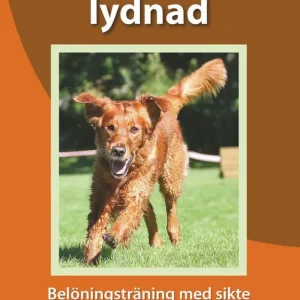 Lyckas med lydnad : belöningsträning med sikte på lydnadsklass 1 och 2