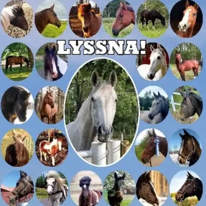 Lyssna! : en bok av hästar för människor