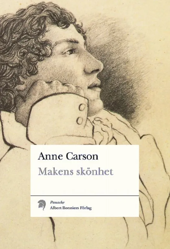 Makens skönhet : en fiktiv essä i 29 tangos