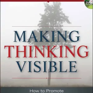 Making Thinking Visible